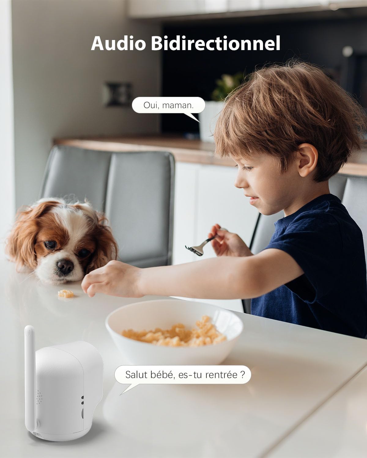 COCOCAM 4G Camera Surveillance Interieur sans Fil avec Batterie 6000mAh, 355°P 90°T, 2K 4G Caméra pour Bébé/Animal/Ancien, Détection Humaine PIR, Carte SIM Intégrée(sans WiFi)